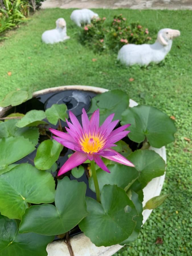 The Orchid House Hotel Nong Kung Yai Екстериор снимка
