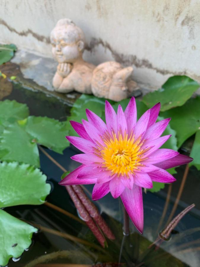 The Orchid House Hotel Nong Kung Yai Екстериор снимка